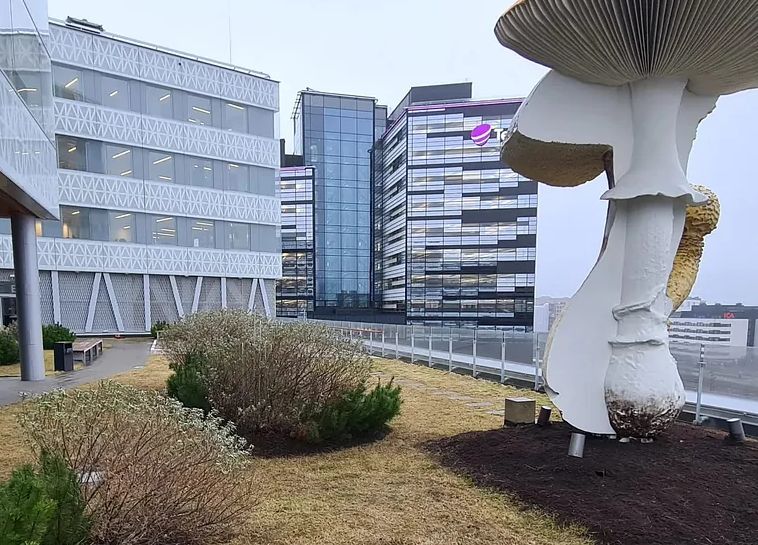 Trädgårdsskötsel i stockholm  så skapas hållbara och välskötta utemiljöer